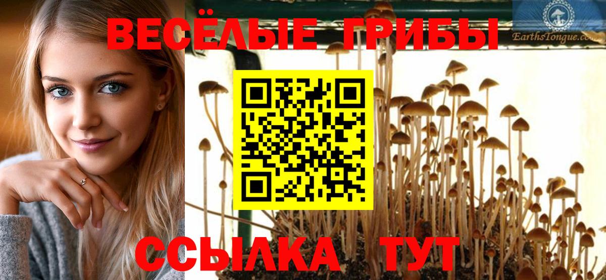 Тихвин  дарнет шоп  Вход с VPN  Псилоцибиновые грибы прущие грибы 